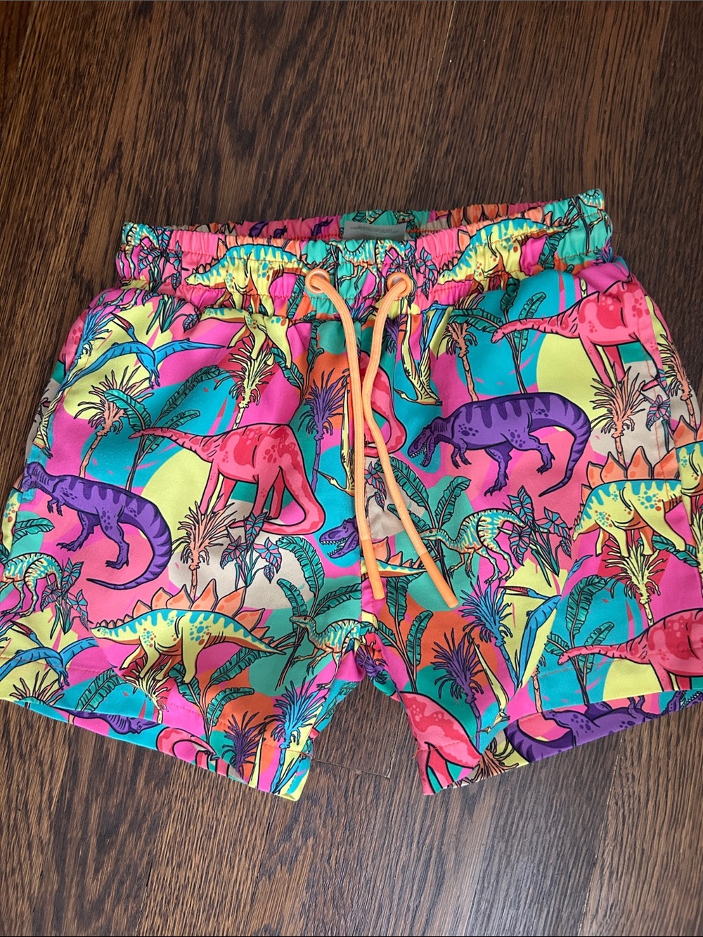 Kids Bright Multicolor Dino Swim Trunks